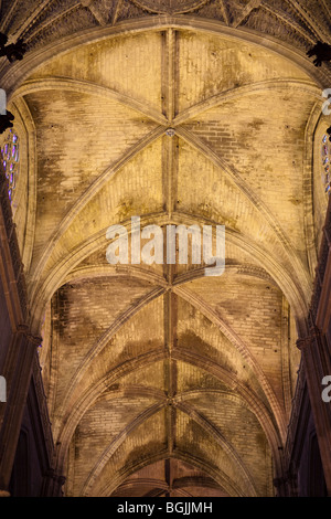 Voûtes de la nef de cathédrale, Séville, Andalousie, Espagne Banque D'Images