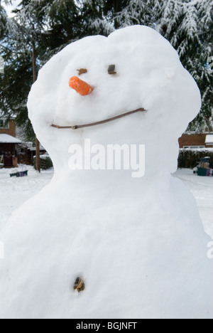 Bonhomme de neige 2010 Banque D'Images