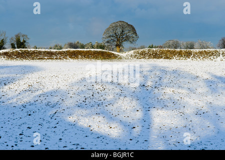 Anneau du géant, Belfast, couvertes de neige Banque D'Images