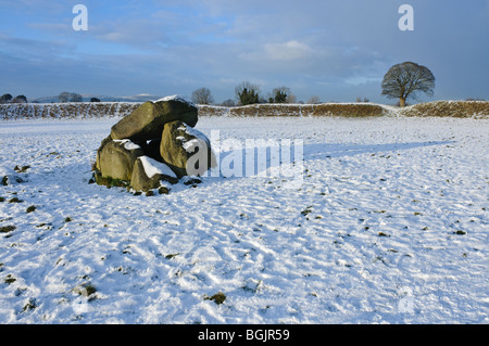 Anneau du géant, Belfast, couvertes de neige Banque D'Images