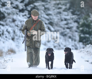 Man with gun et les chiens dans la neige Banque D'Images