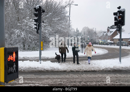 Les gens au croisement à feux piétons sur rouge sur la neige et la gadoue avec chien. Une chute de neige importante3 domaine de hampshire janvier 2010 Banque D'Images