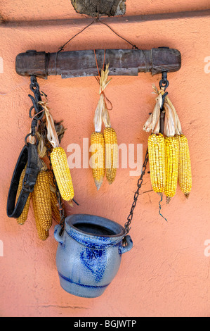 Arrangement des épis de blé ou maïs, faisceau et en grès, accrochée à un mur, Eguisheim, Haut-Rhin, Alsace, France Banque D'Images