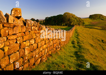 Vue du mur d'Hadrien, ancienne capitale romaine, rester à l'ouest de l'établissement près de Knag et brûler l'Housestead dans Northumberland England UK Banque D'Images