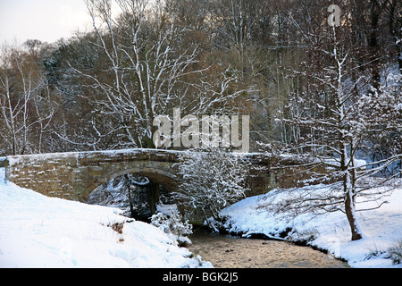 Neige Scène Sontley River Clywedog Wrexham North Wales UK Royaume-Uni UE Union Européenne Europe Banque D'Images