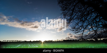 Coucher de soleil sur un champ d'hiver Banque D'Images