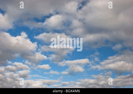 Les cumulus dans le ciel bleu, en Angleterre Banque D'Images