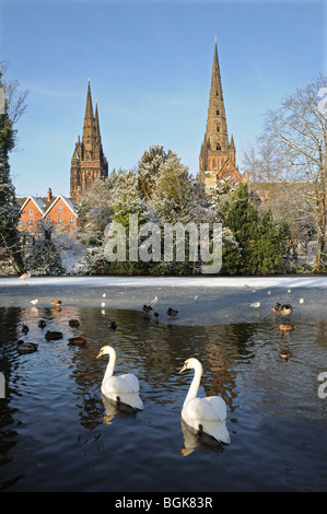 Trois spires congelé Minster Cathédrale extérieure cygnes et canards on snowy winter's day 2010 Lichfield Staffordshire England Banque D'Images