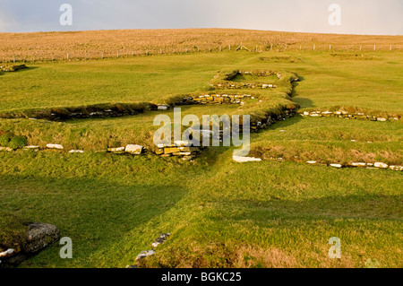 Brough de Birsay, sur le continent, l'Orkney du début des colonies scandinaves et Pictish 5858 SCO Banque D'Images