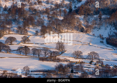 La neige couvre les champs et les arbres de Upper Wharfedale, Yorkshire Dales Banque D'Images