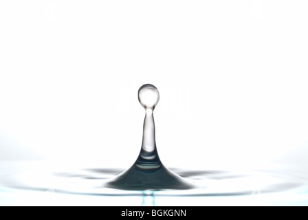 Goutte d'eau close up fond blanc Banque D'Images