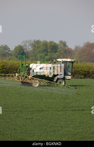 Pulvérisateur automoteur la pulvérisation de pesticides sur le blé Banque D'Images