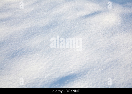 La neige fraîchement tombée, Hampshire, Angleterre. Banque D'Images