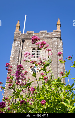 Église Saint-George avec fleurs printanières, Dittisham, South Hams, Devon, Angleterre,ROYAUME-UNI Banque D'Images