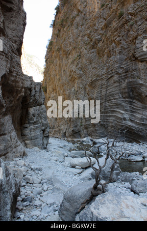 Gorges de Samaria Crete Banque D'Images