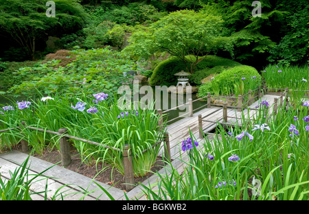 Iris et passerelle. Les jardins japonais de Portland. Oregon Banque D'Images