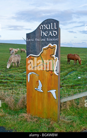 Tête de Mull Orkney réserve naturelle sur l'île Fraser Highlands écossais. 5881 SCO Banque D'Images