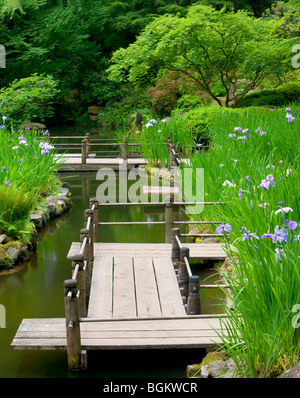 Iris et passerelle. Les jardins japonais de Portland. Oregon Banque D'Images