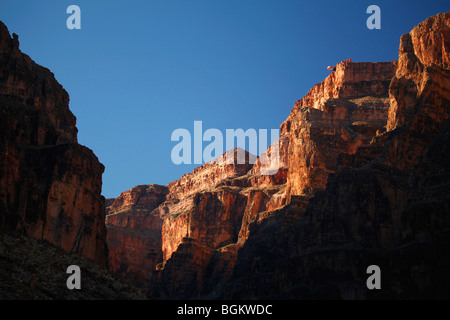 Skywalk Hualapai vu de la rivière Colorado à Grand Canyon West, le Parc National du Grand Canyon, Arizona Banque D'Images