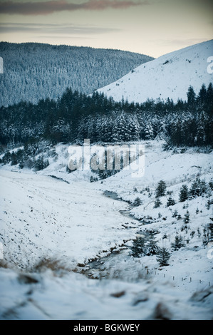 La partie supérieure de la rivière Wye Valley dans la neige, le 1 janvier 2010 Banque D'Images