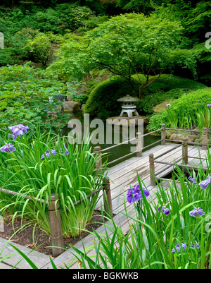 Iris et passerelle. Les jardins japonais de Portland. Oregon Banque D'Images