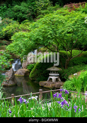 Iris et passerelle. Les jardins japonais de Portland. Oregon Banque D'Images