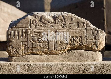 Close up scène d'offrandes sur différents blocs nouvellement découverts à partir de la nouvelle open air museum au temple de Louxor, Egypte Louxor Banque D'Images