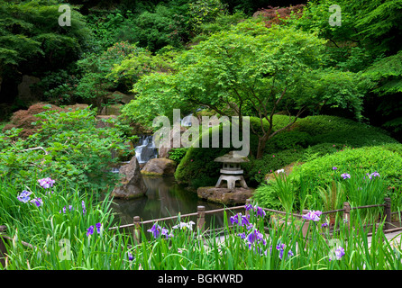 Iris et passerelle. Les jardins japonais de Portland. Oregon Banque D'Images