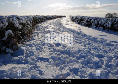 Un chemin de campagne impraticables après de fortes chutes de neige. Cotswolds, Oxfordshire Banque D'Images