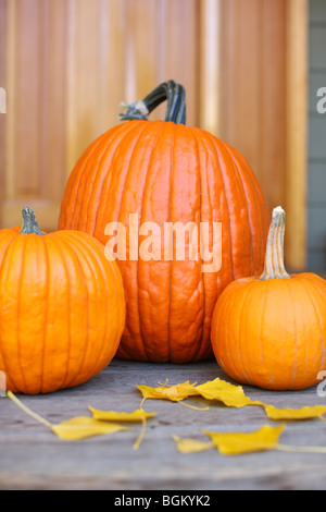 Citrouilles d'automne on porch Banque D'Images