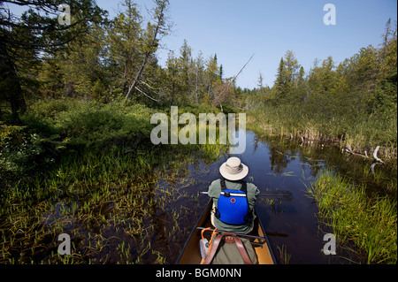 Un homme âgé de canots dans la chambre des forêts nationales, Boundary Waters Canoe Area par une belle journée de septembre. Banque D'Images