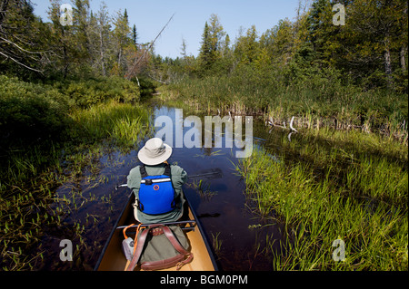 Un homme âgé de canots dans la chambre des forêts nationales, Boundary Waters Canoe Area par une belle journée de septembre. Banque D'Images