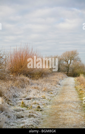 Chemin dans la campagne givrée au cours de français de l'hiver. Sussex, UK Banque D'Images