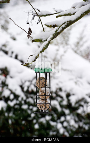 Boules de graisse alimentaire des oiseaux dans une mangeoire en hiver neige Banque D'Images