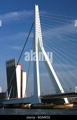 Le Pont Erasmus sur la Meuse, à Rotterdam, Pays-Bas Banque D'Images