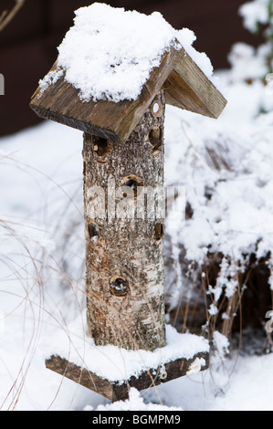 Coccinelle maison dans un jardin de neige frontière, Gloucestershire, Angleterre Banque D'Images