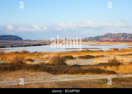 Vue sur la réserve naturelle RSPB Conwy lagunes côtières et l'habitat des prairies. Llannefydd, Conwy, au nord du Pays de Galles, Royaume-Uni, Angleterre. Banque D'Images