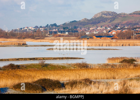 Llannefydd, Conwy, au nord du Pays de Galles, Royaume-Uni. Vue sur la réserve RSPB Conwy lagunes côtières et l'habitat des prairies. Banque D'Images