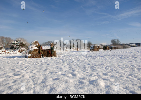 Entraînée par prise de faisans dans la neige Norfolk Angleterre Banque D'Images
