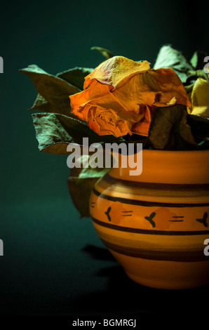 Bouquet de roses séchées disposés dans un vase de style ancien. Banque D'Images