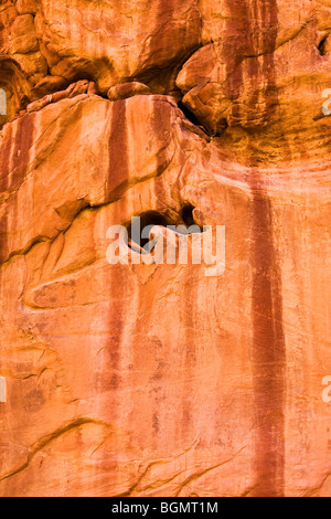 Mur Slickrock Close-Up, Harris se laver, Grand Staircase-Escalante National Monument, Utah, USA Banque D'Images