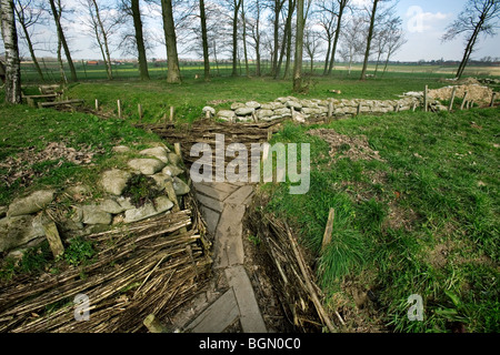 WW1 Bayernwald, un site avec des tranchées allemandes de la Première Guerre mondiale, à Barraute camu, Kemmel, Belgique Banque D'Images