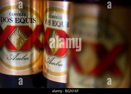 Dos Equis les bouteilles de bière. Banque D'Images