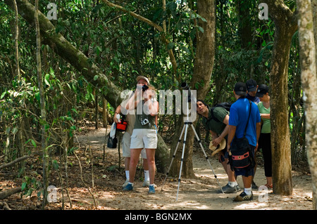 Les ornithologues et les touristes à la recherche écologique à oiseaux en forêt tropicale, Parc National Manuel Antonio, Costa Rica, Amérique Centrale Banque D'Images