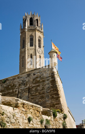 Vieille Cathédrale de la Seu Vella Banque D'Images