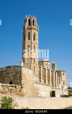 Vieille Cathédrale de la Seu Vella Banque D'Images