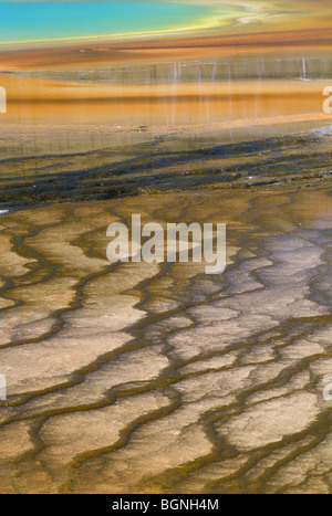 Hot Spring dans le West Thumb Geyser Basin, Parc National de Yellowstone, Wyoming, USA Banque D'Images