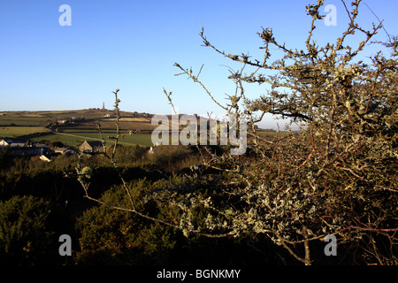 Avis de Carn Brea de grande télévision Lode minéral sentier Tramway Nr. Truro Cornwall Banque D'Images