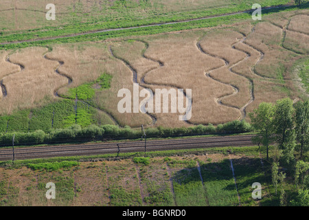 Les zones humides et reedland à partir de l'air, la réserve naturelle Demerbroeken, Belgique Banque D'Images