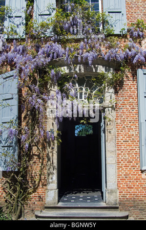 La glycine de croître autour de porte de presbytère Schriek dans le musée en plein air Bokrijk, Belgique Banque D'Images